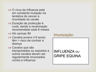Imunização:
 O vírus da Influenza está
em constante mutação na
tentativa de vencer a
imunidade do cavalo
 Duração de protecção é
curta, sendo a revacinação
recomendada cada 6 meses
 Há vacinas IM
 Cavalos jovens (<5 anos)
têm > risco de contrair a
doença
 Cavalos que são
transportados ou expostos a
outros cavalos devem ser
regularmente imunizados
contra a Influenza
INFLUENZA OU
GRIPE EQUINA
 