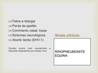 Sinais clínicos:
 Febre e letargia
 Perda de apetite
 Corrimento nasal, tosse
 Sintomas neurológicos
 Aborto tardio (EHV-1)
Cavalos jovens mais susceptíveis a
infecções respiratórias por herpes vírus
RINOPNEUMONITE
EQUINA
 