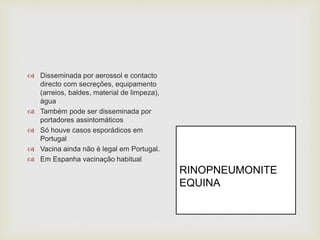  Disseminada por aerossol e contacto
directo com secreções, equipamento
(arreios, baldes, material de limpeza),
água
 Também pode ser disseminada por
portadores assintomáticos
 Só houve casos esporádicos em
Portugal
 Vacina ainda não é legal em Portugal.
 Em Espanha vacinação habitual
RINOPNEUMONITE
EQUINA
 