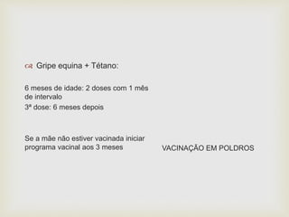  Gripe equina + Tétano:
6 meses de idade: 2 doses com 1 mês
de intervalo
3ª dose: 6 meses depois
Se a mãe não estiver vacinada iniciar
programa vacinal aos 3 meses VACINAÇÃO EM POLDROS
 