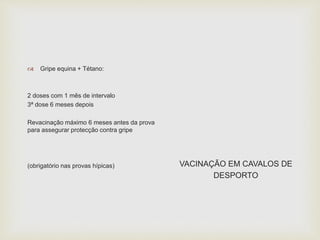  Gripe equina + Tétano:
2 doses com 1 mês de intervalo
3ª dose 6 meses depois
Revacinação máximo 6 meses antes da prova
para assegurar protecção contra gripe
(obrigatório nas provas hípicas) VACINAÇÃO EM CAVALOS DE
DESPORTO
 