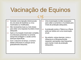 
Vacinação de Equinos
 Consiste numa injecção intramuscular,
de uma dose de bactérias ou vírus
inactivados ou modificados.
 São necessárias duas ou mais doses
para obter uma resposta imunitária inicial
adequada.
 Após a imunização inicial estar completa,
os anticorpos presentes na corrente
sanguínea protegem o cavalo contra
doenças específicas.
 Com o decorrer do tempo, o número
destes anticorpos no sangue vai-se
gradualmente reduzindo.
 Uma revacinação é então necessária
para voltar a aumentar a imunidade para
níveis de protecção adequados.
 A protecção contra o Tétano ou a Raiva,
pode ser obtida com uma revacinação
anual.
 No entanto, outras doenças, como a
Influenza ou a Rinopneumonite,
requerem vacinações mais frequentes
para manter níveis de protecção
adequados.
 