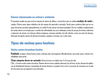 Boas Práticas de Manejo
                                                                                                                     VACINAÇÃO


     Fatores relacionados ao animal e ambiente
     É importante ressaltar que para uma boa resposta do sistema de defesa, o animal deve estar em perfeita condição de saúde e
     nutrição. Mesmo assim, alguns indivíduos não são capazes de responder à vacinação. Sendo assim, podemos dizer que em um
     grupo de animais vacinados adequadamente, em média 5% dos animais não ﬁcarão protegidos. Por isso, medidas complementares
     de manejo devem ser tomadas para o controle das enfermidades, tais como destinação correta de carcaças de animais, isolamento
     e tratamento de animais com doenças infecto-contagiosas, vacinação periódica de todo rebanho contra uma série de doenças,
     eliminação de agentes vetores de doenças (mosquitos, carrapatos, morcegos, etc.), entre outras.


     Tipos de vacinas para bovinos
     Vacina contra brucelose bovina
     Finalidade: proteger a fêmea bovina contra a infecção pelo microorganismo Brucella abortus, que pode causar o aborto e/ou
     infertilidade neste animal.
     Quais categorias devem ser vacinadas: fêmeas bovinas com idade entre 3 e 8 meses de vida.
     Obs.: o homem pode contrair a brucelose. Portanto deve-se tomar cuidados adicionais (uso de luvas, óculos, descarte de agulhas,
     uso de desinfetantes) durante a manipulação de animais doentes ou suspeitos, bem como no processo de vacinação, por se tratar
     de uma vacina que usa organismos vivos atenuados.

10
 