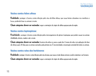 Boas Práticas de Manejo
                                                                                                                         VACINAÇÃO

     Vacina contra febre aftosa
     Finalidade: proteger o bovino contra infecção pelo vírus da febre aftosa, que causa lesões ulcerativas nos membros e
     boca, podendo levar os animais à morte.
     Quais categorias devem ser vacinadas: seguir a orientação do órgão de defesa agropecuária da região.

     Vacina contra leptospirose
     Finalidade: proteger o bovino contra infecção pelos microorganismos do gênero Leptospira, que podem causar nos animais
     infertilidade, aborto, mastite e até a morte.
     Quais categorias devem ser vacinadas: bovinos de ambos os sexos a partir dos 3 meses de vida, com aplicação de dose
     de reforço após 30 dias para os animais vacinados pela primeira vez. É recomendada a revacinação semestral de todos os animais.

     Vacina contra raiva dos herbívoros
     Finalidade: proteger o bovino contra infecção pelo vírus da raiva, que causa a morte desses animais e pode contaminar o ser humano.
     Quais categorias devem ser vacinadas: seguir a orientação do órgão de defesa agropecuária da região.




12
 