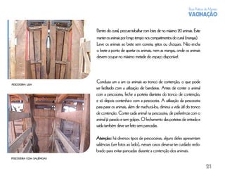 Boas Práticas de Manejo
                                                                                               VACINAÇÃO

                            Dentro do curral, procure trabalhar com lotes de no máximo 20 animais. Evite
                            manter os animais por longo tempo nos compartimentos do curral (mangas).
                            Leve os animais ao brete sem correria, gritos ou choques. Não encha
                            o brete a ponto de apertar os animais, nem as mangas, onde os animais
                            devem ocupar no máximo metade do espaço disponível.




PESCOCEIRA LISA
                            Conduza um a um os animais ao tronco de contenção, o que pode
                            ser facilitado com a utilização de bandeiras. Antes de conter o animal
                            com a pescoceira, feche a porteira dianteira do tronco de contenção,
                            e só depois contenha-o com a pescoceira. A utilização da pescoceira
                            para parar os animais, além de machucá-los, diminui a vida útil do tronco
                            de contenção. Conter cada animal na pescoceira, de preferência com o
                            animal já parado e sem golpes. O fechamento das porteiras de entrada e
                            saída também deve ser feito sem pancadas.

                            Atenção: há diversos tipos de pescoceiras, alguns deles apresentam
                            saliências (ver fotos ao lado), nesses casos deve-se ter cuidado redo-
                            brado para evitar pancadas durante a contenção dos animais.
PESCOCEIRA COM SALIÊNCIAS


                                                                                                            21
 