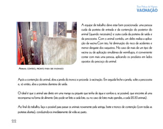 Boas Práticas de Manejo
                                                                                                                   VACINAÇÃO


                                                                A equipe de trabalho deve estar bem posicionada: uma pessoa
                                                                cuida da porteira de entrada e da contenção do posterior do
                                                                animal (quando necessário) e outra cuida da porteira de saída e
                                                                da pescoceira. Com o animal contido, um deles realiza a aplica-
                                                                ção da vacina.Com isto, há diminuição do risco de acidentes e
                                                                menor desgaste dos vaqueiros. No caso de mais de um tipo de
                                                                vacina ou de aplicação simultânea de vermífugos, é conveniente
                                                                contar com mais uma pessoa, aplicando os produtos em lados
                                                                opostos do pescoço do animal.
     ANIMAL CONTIDO, PRONTO PARA SER VACINADO



     Após a contenção do animal, abra a janela do tronco e proceda à vacinação. Em seguida feche a janela, solte a pescoceira
     e, só então, abra a porteira dianteira de saída.

     O ideal é que o animal saia direto em uma manga ou piquete que tenha de água e sombra e, se possível, que encontre ali uma
     recompensa na forma de alimento (isto pode ser feito a cada lote, ou no caso de lotes muito grandes, a cada 20-30 animais).

     Ao ﬁnal do trabalho, faça o possível para passar os animais novamente pela seringa, brete e tronco de contenção (com todas as
     porteiras abertas), conduzindo-os imediatamente de volta ao pasto.

22
 