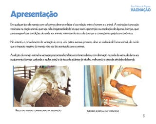 Boas Práticas de Manejo
                                                                                                                              VACINAÇÃO
Apresentação
Em qualquer tipo de manejo com os bovinos deve-se enfatizar a boa relação entre o homem e o animal. A vacinação é uma ação
necessária na criação animal, quer seja pela obrigatoriedade de leis que visam à prevenção ou erradicação de algumas doenças, quer
para assegurar boas condições de saúde aos animais, minimizando riscos de doenças e conseqüentes prejuízos econômicos.

No entanto, o procedimento de vacinação é, em si, uma prática aversiva, portanto, deve ser realizada de forma racional, de modo
que o impacto negativo do manejo não seja tão acentuado para os animais.

A adoção do manejo racional na vacinação proporciona benefícios econômicos diretos, com diminuição na perda de vacina, de danos aos
equipamentos (seringas quebradas e agulhas tortas) e de riscos de acidentes de trabalho, melhorando a rotina das atividades da fazenda.




     RISCOS DO MANEJO CONVENCIONAL NA VACINAÇÃO                                 MANEJO RACIONAL NA VACINAÇÃO

                                                                                                                                           5
 