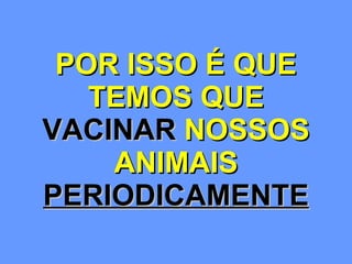 POR ISSO É QUE TEMOS QUE  VACINAR  NOSSOS ANIMAIS  PERIODICAMENTE 