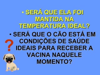 SERÁ QUE ELA FOI MANTIDA NA TEMPERATURA IDEAL? SERÁ QUE O CÃO ESTÁ EM CONDIÇÕES DE SAÚDE IDEAIS PARA RECEBER A VACINA NAQUELE MOMENTO? ? 