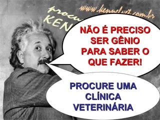 NÃO É PRECISO SER GÊNIO PARA SABER O QUE FAZER! PROCURE UMA CLÍNICA VETERINÁRIA 