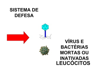 VÍRUS E BACTÉRIAS MORTAS OU INATIVADAS SISTEMA DE DEFESA LEUCÓCITOS 
