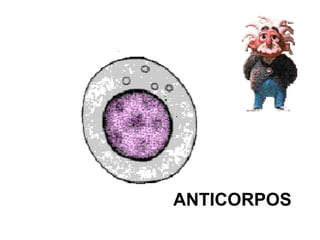 ANTICORPOS 