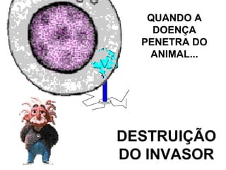 DESTRUIÇÃO DO INVASOR QUANDO A DOENÇA PENETRA DO ANIMAL... 