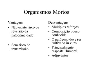 Organismos Mortos Vantagens Não existe risco de reversão da patogenicidade Sem risco de transmissão Desvantagens Múltiplos reforços Composição pouco conhecida O patógeno deve ser cultivado in vitro Principalmente resposta Humoral Adjuvantes 