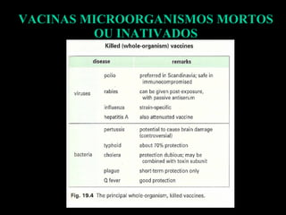 VACINAS MICROORGANISMOS MORTOS OU INATIVADOS 