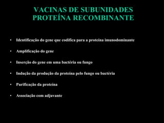 VACINAS DE SUBUNIDADES PROTEÍNA RECOMBINANTE Identificação do gene que codifica para a proteína imunodominante Amplificação do gene Inserção do gene em uma bactéria ou fungo Indução da produção da proteína pelo fungo ou bactéria Purificação da proteína Associação com adjuvante 
