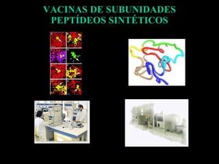 VACINAS DE SUBUNIDADES PEPTÍDEOS SINTÉTICOS 