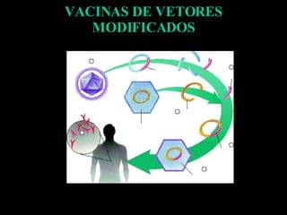 VACINAS DE VETORES MODIFICADOS 