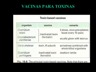VACINAS PARA TOXINAS 