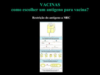 VACINAS como escolher um antígeno para vacina? Restrição do antígeno a MHC 