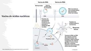 Vacina de ácidos nucléicos
https://profissaobiotec.com.br/5-tecnologias-desenvolvimento-vacina-covid19/
 