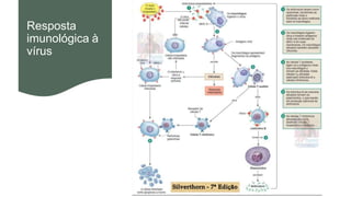 Resposta
imunológica à
vírus
 