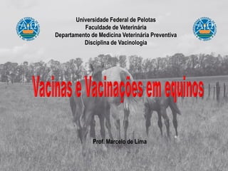 Universidade Federal de Pelotas
Faculdade de Veterinária
Departamento de Medicina Veterinária Preventiva
Disciplina de Vacinologia
Prof. Marcelo de Lima
 