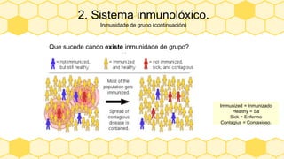 2. Sistema inmunolóxico.
Inmunidade de grupo (continuación)
1)
Que sucede cando existe inmunidade de grupo?
Immunized = Inmunizado
Healthy = Sa
Sick = Enfermo
Contagius = Contaxioso.
 