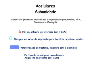 Subunidade
Hepatite B, pneumonia causada por Streptococcus pneumoniae , HPV,
Pneumococo, Meningite
PCR do antígeno de interesse (ex: HBsAg)
Clonagem em vetor de expressão para bactéria, levedura, células
Transformação de bactéria, levedura com o plasmídeo
Purificação do antígeno recombinante
Adição de adjuvantes (ex: alum)
Acelulares
 