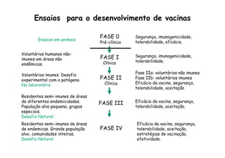 Ensaios para o desenvolvimento de vacinas
Ensaios em animais
Segurança, imunogenicidade,
tolerabilidade, eficácia.
Segurança, imunogenicidade,
tolerabilidade.
Voluntários humanos não-
imunes em áreas não
endêmicas.
Voluntários imunes. Desafio
experimental com o patógeno.
No laboratório
Fase IIa: voluntários não imunes
Fase IIb: voluntários imunes
Eficácia da vacina, segurança,
tolerabilidade, aceitação
Residentes semi-imunes de áreas
de diferentes endemicidades.
População alvo pequena, grupos
especiais.
Desafio Natural
Residentes semi-imunes de áreas
de endemicas. Grande população
alvo, comunidades inteiras.
Desafio Natural
Eficácia da vacina, segurança,
tolerabilidade, aceitação.
Eficácia da vacina, segurança,
tolerabilidade, aceitação,
estratégias de vacinação,
efetividade.
FASE 0
Pré-clínica
FASE I
Clínica
FASE II
Clínica
FASE III
FASE IV
 