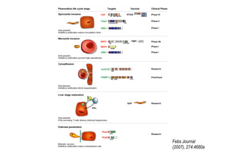 Febs Journal
(2007), 274:4680a
 