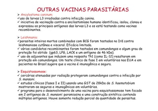 OUTRAS VACINAS PARASITÁRIAS
Ø  Ancylostoma caninum:
ü uso de larvas L3 irradiadas contra infecção canina.
ü  iniciativa de vacinação contra a ancilostomíase humana identificou, isolou, clonou e
expressou os principais antígenos das larvas L3 e os está testando como vacinas
recombinantes.
Ø  Leishmania:
ü parasitas inteiros mortos combinados com BCG foram testados no Irã contra
leishmaniose cutânea e visceral. Eficácia limitada.
ü  vários candidatos recombinantes foram testados em camundongos e algum grau de
proteção foi obtido (gp63, LPG, LACK e um antígeno de 46 kDa).
ü  uso de adjuvantes que induzem uma resposta Th1 (como IL-12) resultaram em
proteção em camundongos. Um teste clínico de fase I em voluntários nos EUA e em
pacientes no Brasil sugere que a vacina é imunogênica e segura.
Ø  Esquistossomose:
ü  cercárias atenuadas por radiação protegeram camundongos contra a infecção por
S. mansoni.
ü  estudos clínicos (fases I e II) usando uma GST de 28kDa de S. haematobium
mostraram-se seguros e imunogênicos em voluntários.
ü  programa para o desenvolvimento de uma vacina para esquistossomose tem focado
em 2 antígenos de S. mansoni: paramiosina e uma construção sintética contendo
múltiplos antígenos. Houve somente redução parcial da quantidade de parasitas.
 