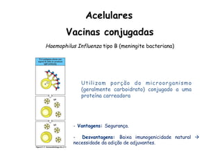 Vacinas conjugadas
Haemophilus Influenza tipo B (meningite bacteriana)
Utilizam porção do microorganismo
(geralmente carboidrato) conjugado a uma
proteína carreadora
Acelulares
-  Vantagens: Segurança.
-  Desvantagens: Baixa imunogenicidade natural à
necessidade da adição de adjuvantes.
 