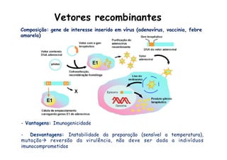 Vetores recombinantes
Composição: gene de interesse inserido em vírus (adenovírus, vaccinia, febre
amarela)
-  Vantagens: Imunogenicidade
-  Desvantagens: Instabilidade da preparação (sensível a temperatura),
mutaçãoà reversão da virulência, não deve ser dada a indivíduos
imunocomprometidos
 