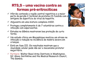 RTS,S – uma vacina contra as
formas pré-eritrocíticas
ü  Híbrido contendo a região central repetitiva e a maior
parte da porção C-terminal da proteína CS fundida com o
antígeno de superfície do vírus da hepatite.
ü  Adjuvante em uma mistura complexa AS02.
ü  Protegeu completamente 6 de 7 voluntários contra a
infecção com esporozoítos.
ü  Estudos no Gâmbia mostraram boa proteção de curto
termo.
ü  Um estudo clínico em Moçambique mostrou um atraso na
infecção e redução na incidência de malária severa em
crianças.
ü  Está em fase III. Os resultados mostram que a
imunidade celular pode não ser o mecanismo protetor
majoritário.
ü  Partners: Walter Reed Army Institute in Washington,
DC, Glaxo Smithkline and the Medical Research Council,
The Gambia.
 
