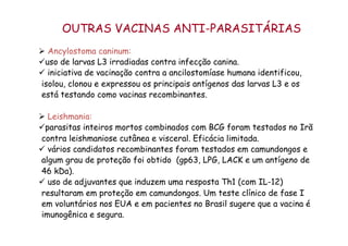 OUTRAS VACINAS ANTI-PARASITÁRIAS
Ø  Ancylostoma caninum:
ü uso de larvas L3 irradiadas contra infecção canina.
ü  iniciativa de vacinação contra a ancilostomíase humana identificou,
isolou, clonou e expressou os principais antígenos das larvas L3 e os
está testando como vacinas recombinantes.
Ø  Leishmania:
ü parasitas inteiros mortos combinados com BCG foram testados no Irã
contra leishmaniose cutânea e visceral. Eficácia limitada.
ü  vários candidatos recombinantes foram testados em camundongos e
algum grau de proteção foi obtido (gp63, LPG, LACK e um antígeno de
46 kDa).
ü  uso de adjuvantes que induzem uma resposta Th1 (com IL-12)
resultaram em proteção em camundongos. Um teste clínico de fase I
em voluntários nos EUA e em pacientes no Brasil sugere que a vacina é
imunogênica e segura.
 
