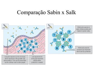 Comparação Sabin x Salk 