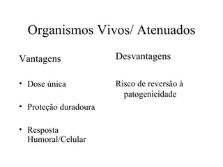 Organismos Vivos/ Atenuados Vantagens Dose única Proteção duradoura Resposta Humoral/Celular Desvantagens Risco de reversão à patogenicidade 
