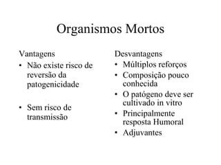 Organismos Mortos Vantagens Não existe risco de reversão da patogenicidade Sem risco de transmissão Desvantagens Múltiplos reforços Composição pouco conhecida O patógeno deve ser cultivado in vitro Principalmente resposta Humoral Adjuvantes 