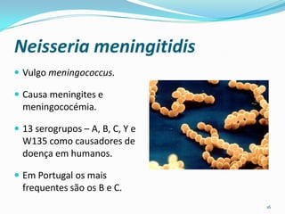 Neisseria meningitidis
 Vulgo meningococcus.

 Causa meningites e
  meningococémia.

 13 serogrupos – A, B, C, Y e
  W135 como causadores de
  doença em humanos.

 Em Portugal os mais
  frequentes são os B e C.
                                 16
 