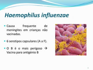 Haemophilus influenzae
 Causa      frequente    de
  meningites em crianças não
  vacinadas.

 6 serotipos capsulares (A a F).

 O B é o mais perigoso 
  Vacina para antigénio B



                                    3
 