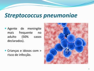 Streptococcus pneumoniae
 Agente  de meningite
 mais    frequente    no
 adulto    (50%    casos
 declarados).

 Crianças e idosos com >
 risco de infecção.


                            9
 