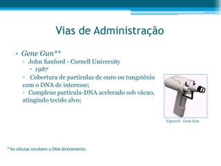 Vias de Administração
• Gene Gun**
▫ John Sanford - Cornell University
 1987
▫ Cobertura de partículas de ouro ou tungstênio
com o DNA de interesse;
▫ Complexo partícula-DNA acelerado sob vácuo,
atingindo tecido alvo;
**As células recebem o DNA diretamente.
Figura 8: Gene Gun
 