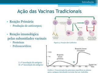 Ação das Vacinas Tradicionais
• Reação Primária
▫ Produção de anticorpos;
• Reação imunológica
pelas subunidades vacinais
▫ Proteínas
▫ Polissacarídeos
Introdução
Figura 3: Função dos Linfócitos
Gráfico 1: Concentração de anticorpos específicos no plasma
para o antígeno introduzido no corpo doe um indivíduo
Tempo em
dias
I
III: 1ª inoculação do antígeno
II: 2ª inoculação do antígeno
Resposta
imune
primária
Resposta imune
secundária
 