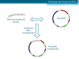 DNA do causador da
doença
Plasmídio
Técnica do
DNA
recombinante
Plasmídio
recombinado
Fabricação das Vacinas de DNA
 