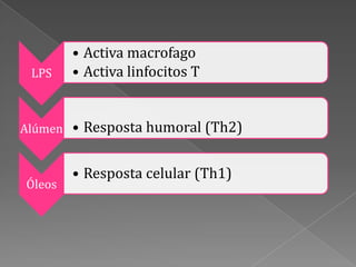 • Activa macrofago
 LPS    • Activa linfocitos T


Alúmen • Resposta humoral (Th2)


        • Resposta celular (Th1)
Óleos
 