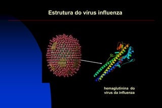 Estrutura do vírus influenza
hemaglutinina do
vírus da influenza
 