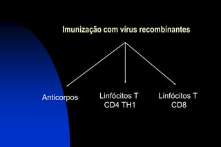 Imunização com vírus recombinantes
Anticorpos Linfócitos T
CD4 TH1
Linfócitos T
CD8
 