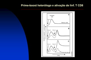 Prime-boost heterólogo e ativação de linf. T CD8
 