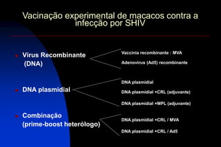 DNA plasmidial
Vaccinia recombinante : MVA
DNA plasmidial +CRL (adjuvante)
Adenovirus (Ad5) recombinante
DNA plasmidial +MPL (adjuvante)
DNA plasmidial +CRL / Ad5
DNA plasmidial +CRL / MVA
 Vírus Recombinante
(DNA)
 DNA plasmidial
 Combinação
(prime-boost heterólogo)
Vacinação experimental de macacos contra a
infecção por SHIV
 